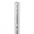 Hailo Steigschutz-Schienen Typ H50 1960mm lang Edelstahl 1.4571 / ASTM 316ti
