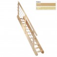 Dolle Raumspartreppe Bern 250-289cm Geschosshöhe Fichte/Buche inklusive Geländer Dolle Raumspartreppe Bern 250-289cm Geschosshöhe Fichte/Buche inklusive Geländer-small