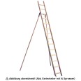 Holz Gartenleiter mit Erdspitzen und 9 Stufen