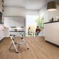 Hailo MK80 Mini Comfort Klapptritt 2 Stufen Hailo MK80 Mini Comfort Klapptritt 2 Stufen-small