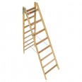 Euroline Holz Sprossenstehleiter 2x8 Sprossen Euroline Holz Sprossenstehleiter 2x8 Sprossen-small